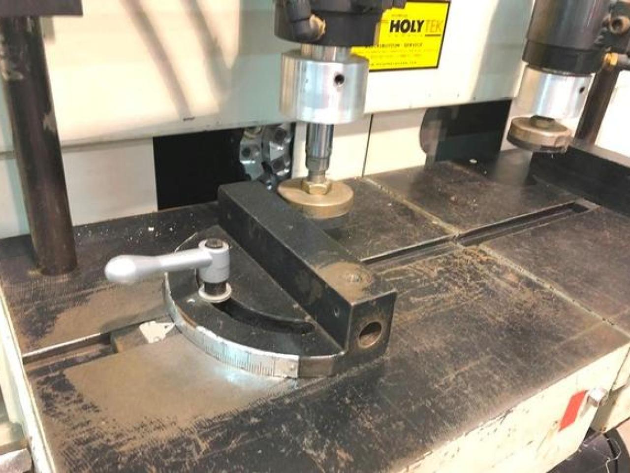 Holytek YRT-100